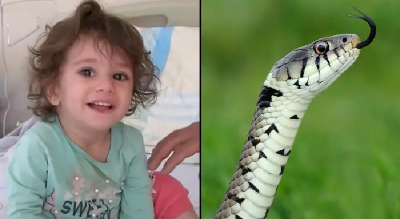 girl killed snake